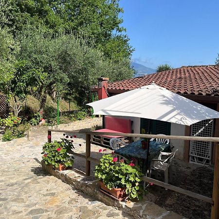 Casa Vacanze Alfano أسشيا المظهر الخارجي الصورة