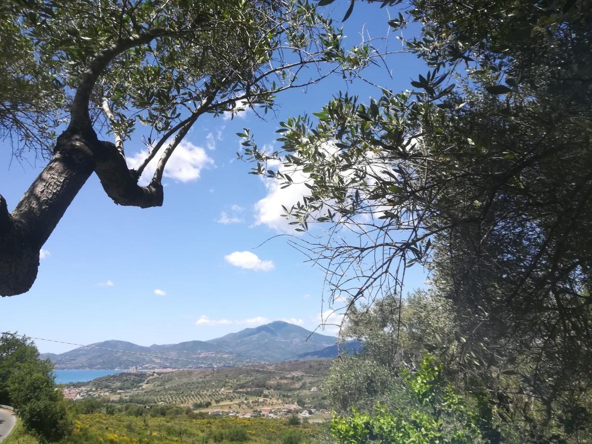 Casa Vacanze Alfano أسشيا المظهر الخارجي الصورة