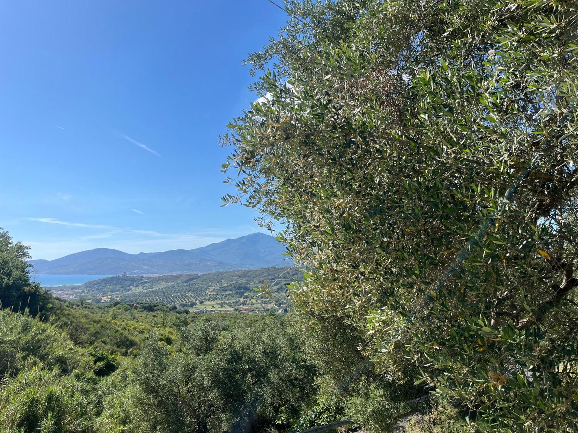 Casa Vacanze Alfano أسشيا المظهر الخارجي الصورة