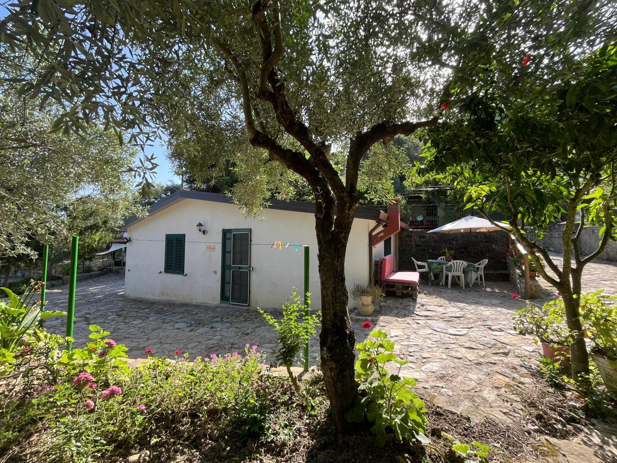 Casa Vacanze Alfano أسشيا المظهر الخارجي الصورة