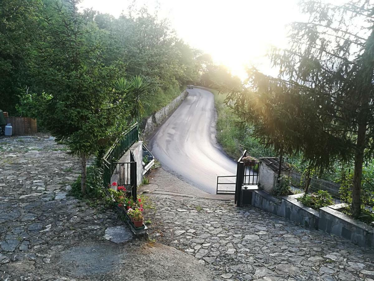 Casa Vacanze Alfano أسشيا المظهر الخارجي الصورة