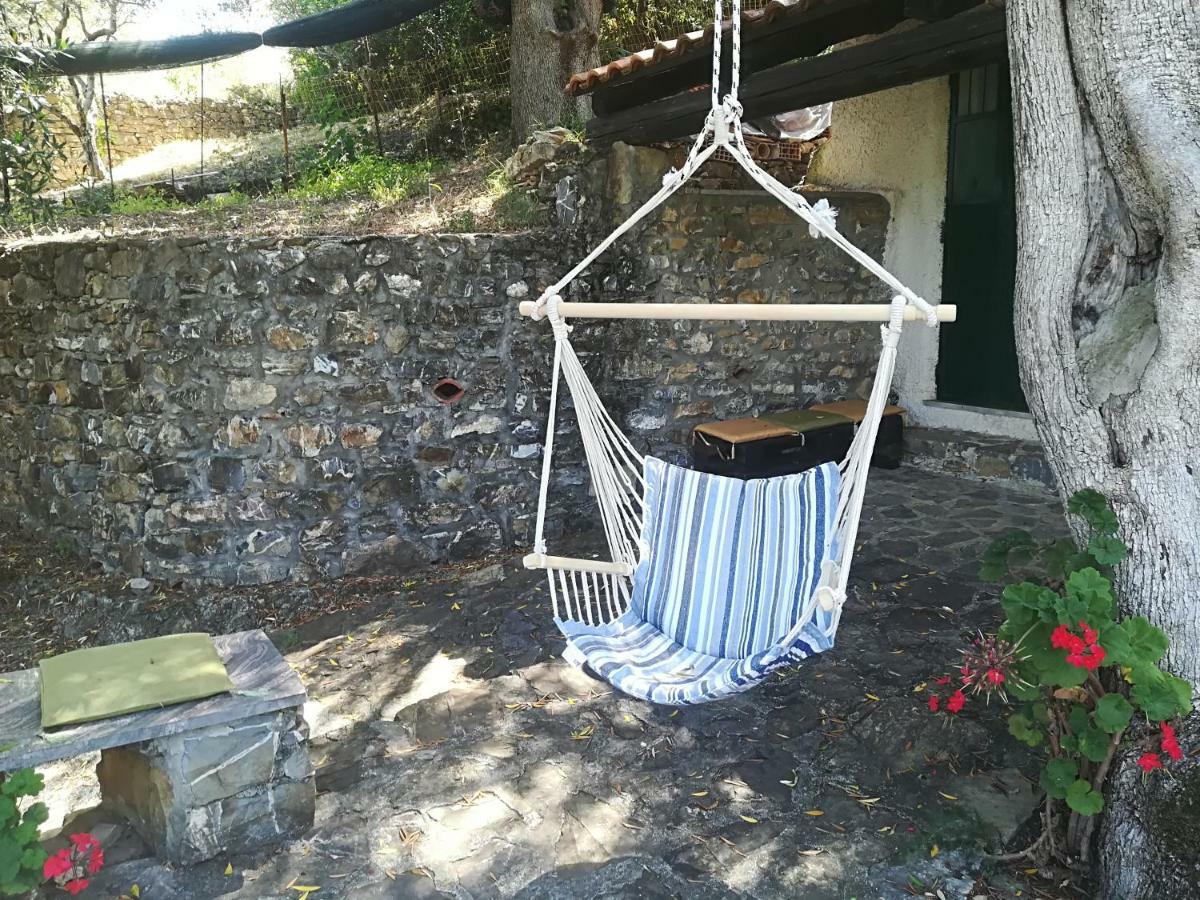 Casa Vacanze Alfano أسشيا المظهر الخارجي الصورة